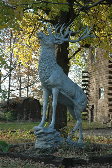 Image 14