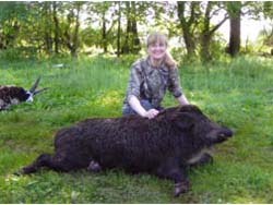 Russian Boar